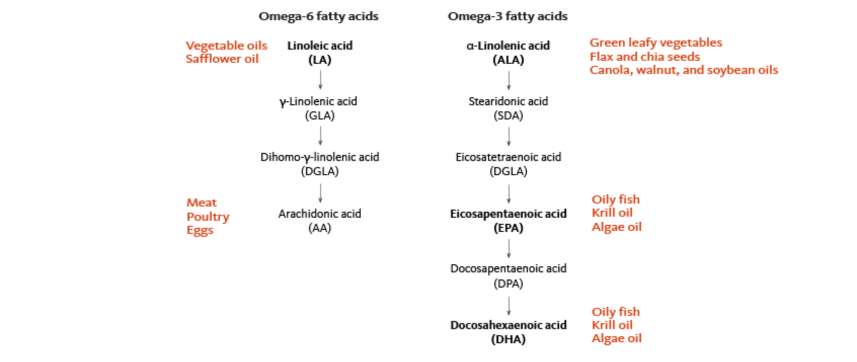 Vegan Omega 3 and Why It s Important to Choose Well Balanced Sources